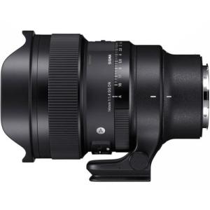 シグマ(SIGMA) 14-24mm F2.8 DG DN ライカLマウント用 Artライン シグマ(SIGMA) 14-24mm F2.8 DG DN ライカLマウント用 Artライン
