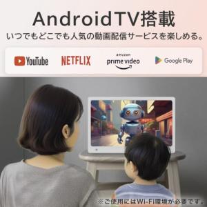 NewBridge ニューブリッジ AN-M0...の詳細画像4