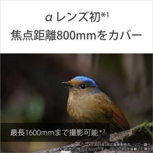 ソニー(SONY) FE 400-800mm ...の詳細画像2