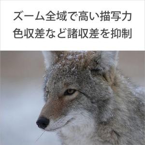 ソニー(SONY) FE 400-800mm ...の詳細画像4