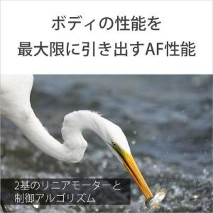 ソニー(SONY) FE 400-800mm ...の詳細画像5