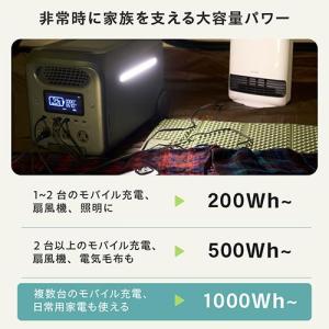 エレコム(ELECOM) DE-PS2500P...の詳細画像2