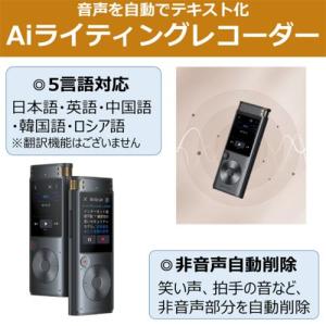 【長期5年保証付】iFLYTEK(アイフライテ...の詳細画像2