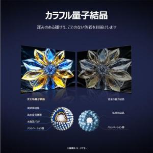TCL(ティーシーエル) 55P8K 55V型...の詳細画像4