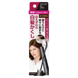 ヘンケル 「ヘンケルジャパン」 パオンカラースプレー 黒艶 黒色 85g