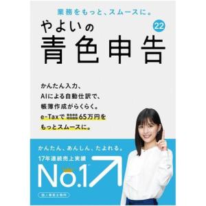 弥生 やよいの青色申告 22 通常版