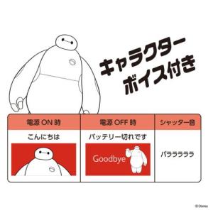 ケンコー(Kenko) DSC-PIENI M...の詳細画像5