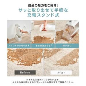 アイリスオーヤマ(Iris Ohyama) R...の詳細画像2