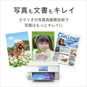 エプソン(EPSON) Colorio カラリ...の詳細画像1