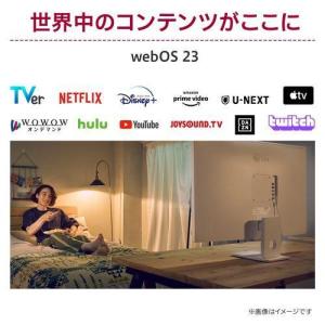 LGエレクトロニクス(LG) 25SR50F-...の詳細画像4