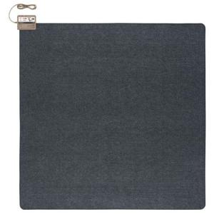 Panasonic（パナソニック） DC-2JN ホットカーペット 本体のみ 2畳用
