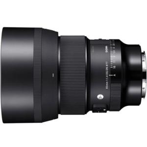 ニコン（Nikon） AF-S DX NIKKOR 18-140mm f/3.5-5.6G ED VR ニコンF