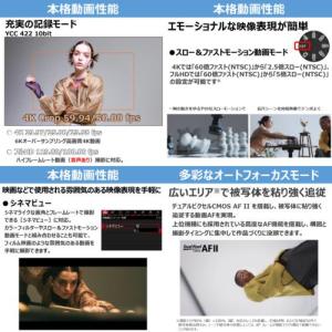 【長期保証付】CANON キヤノン EOS R...の詳細画像1