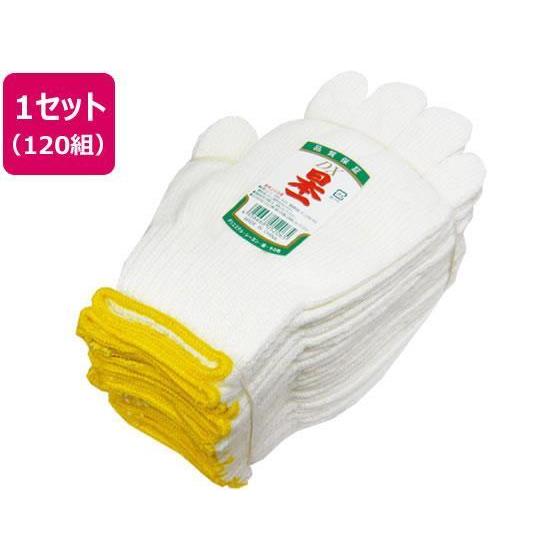 その他 日本一DX 120組[代引不可]