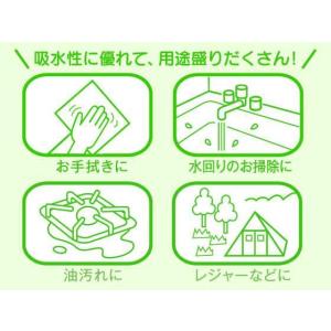 Forestway Forestway ペーパ...の詳細画像2