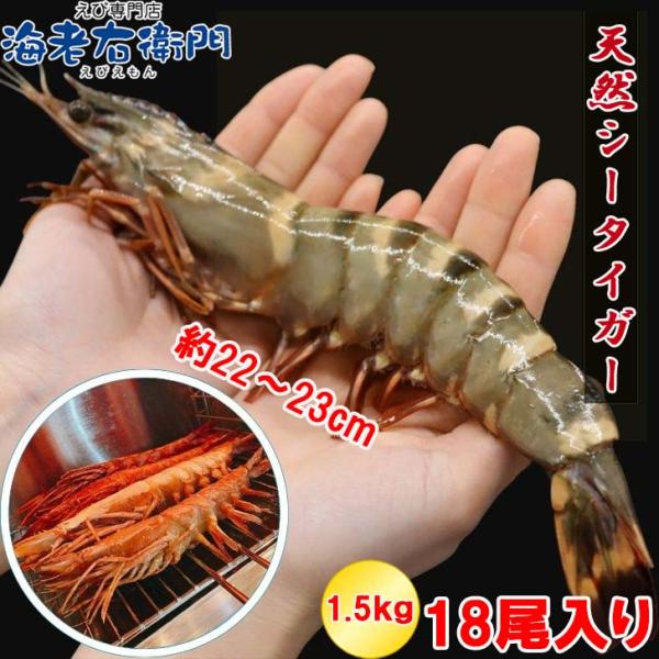 当店直輸入！長さ20センチ級！天然有頭シータイガーえび 1.5kg 18尾サイズ 冷凍えび バーベキ...