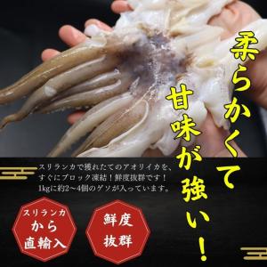 海老右衛門 アオリイカゲソ 2/4サイズ 1k...の詳細画像1