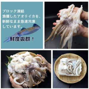 海老右衛門 アオリイカゲソ 2/4サイズ 1k...の詳細画像2