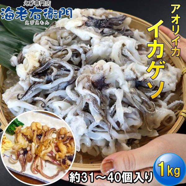 アオリイカゲソ 1kg 31/40サイズ 業務用 甘くて柔らかい アオリイカ下足 鮮度抜群 ブロック...