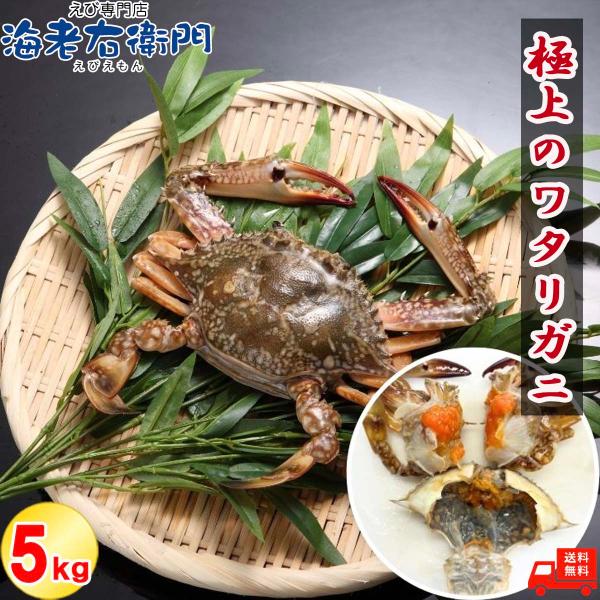 メス限定！極上のワタリガニ スリランカ産 匹100-150g 5kg 40匹前後（1kg約8匹）メス...