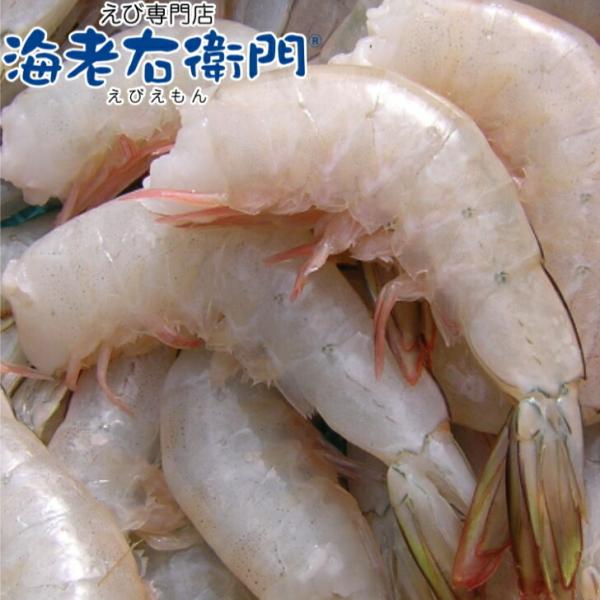 冷凍 天然ホワイト 海老 中サイズ 約115本入り 無頭えび 216 900gブロックが二つ入ってい...