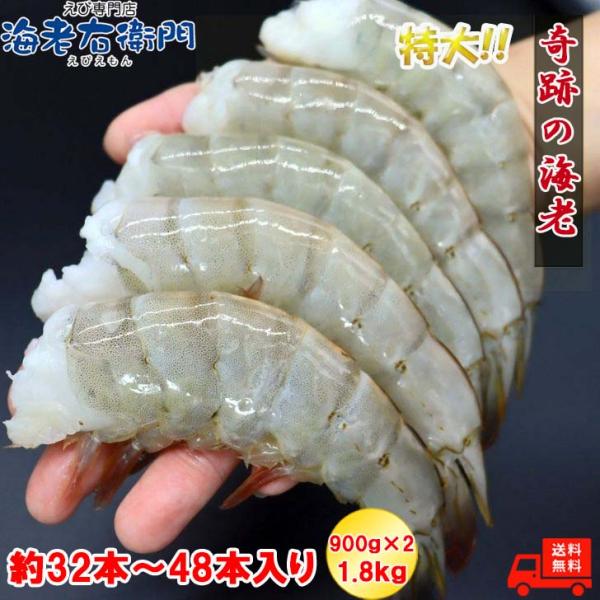 奇跡の海老 超特大サイズ 約32〜48本入り 8/12サイズ 活〆バナメイ 無頭えび 900g×2 ...