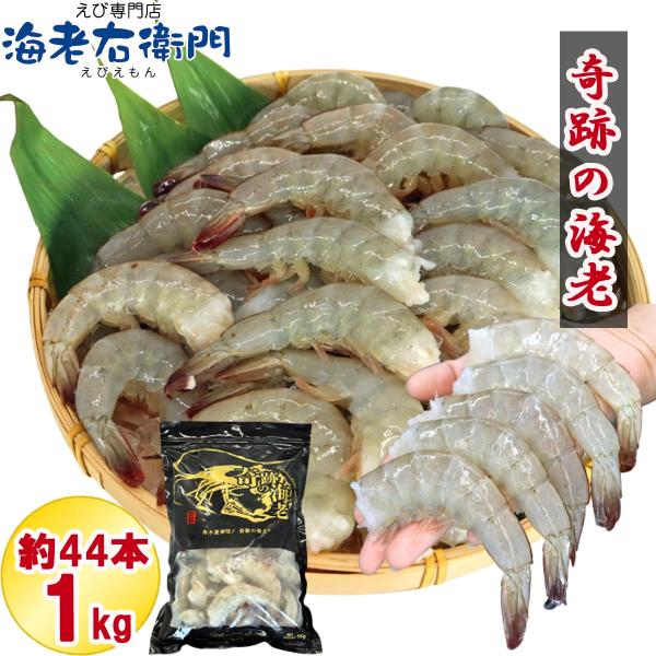 奇跡の海老 無頭えび バラ凍結 1kg入り えび 特大サイズパッケージ お取り寄せ 冷凍えび 16/...