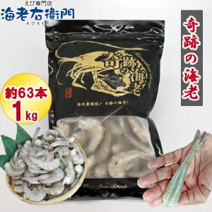 無頭えび 奇跡の海老(R) 26/30サイズ イージーピールド 殻の背 背ワタなし ガーリックシュリンプ専用 バラ凍結 1kg 約63尾入り 業務用