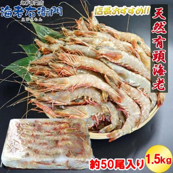 天然有頭海老 1.5kg 50尾 長さ16cm級！ 冷凍えび スリランカ バーベキュー エビフライ ...
