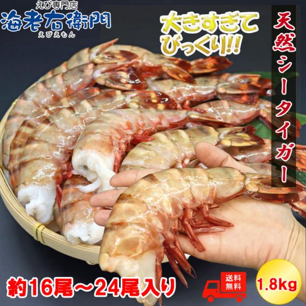 超超超特大サイズ 約16尾〜24尾入り 4/6サイズ 天然シータイガー 無頭えび 1.8kgです。 ...