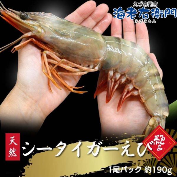 天然シータイガー海老 有頭海老 1尾約190g 超特大 冷凍えび 海老 冷凍 えび エビ BBQ エ...