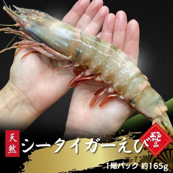 天然シータイガー海老 有頭海老 1尾約165g 超特大 冷凍えび 海老 冷凍 えび エビ BBQ エ...