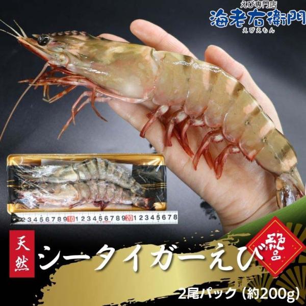 天然シータイガー海老 有頭海老 2尾入 1尾約100g 超特大 冷凍えび 個包装 BBQ エビフライ...