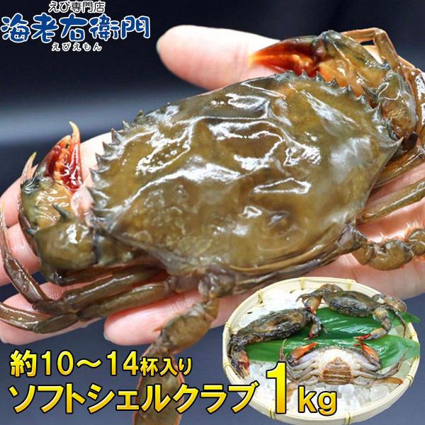 柔らかい殻のカニを丸ごといただく、ソフトシェルクラブ！！1kg 栄養がぎゅっと詰まった脱皮直後のカニ...