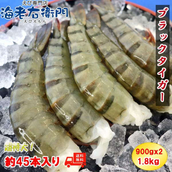 超特大サイズ 約32〜48本入り 8/12サイズ 活〆ブラックタイガー 無頭えび 900g×2で1....