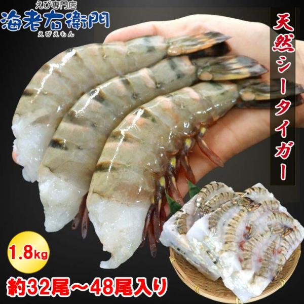 超特大 8/12サイズ 約32尾〜48尾入り 天然 シータイガー 無頭えび 900g×2で1.8kg...