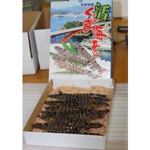 活車海老　500ｇ(13尾〜20尾)