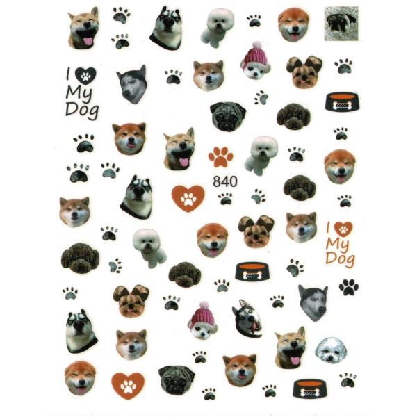 ネイルシール いぬ [ 犬 イヌ ドッグ 肉球 柴犬 動物 アニマル リアル 実写 ] 840