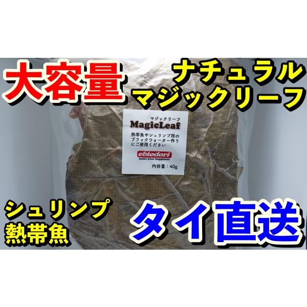 マジックリーフ（１袋約30g）送料無料　ビーシュリンプやベタの水作りに