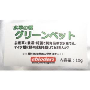 水草の種 グリーンベット　前景草 エビオドリ