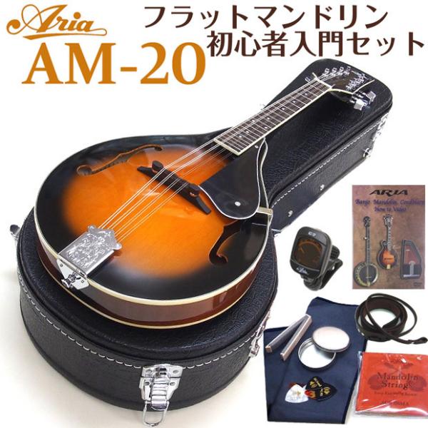 マンドリン ARIA アリア AM-20 初心者 10点セット フラットマンドリンで始める初心者セッ...