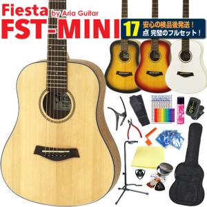ミニギター アコギ ミニ アコースティックギター 初心者 超入門 8点