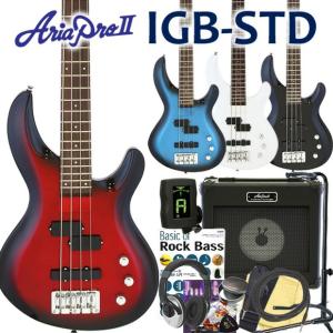 ベース 初心者 入門 Aria Pro II アリア プロ IGB-STD 13点 セット