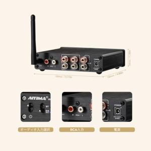 AIYIMA A03 TPA3116サブウーフ...の詳細画像3