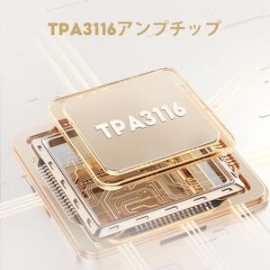 AIYIMA A03 TPA3116サブウーフ...の詳細画像4