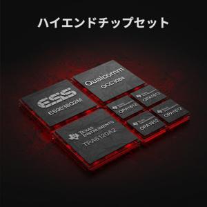 AIYIMA DAC-A7 Bluetooth...の詳細画像3