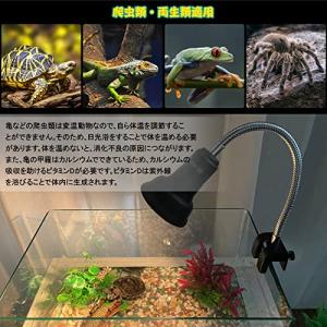 爬虫類 ライト 紫外線ライト 亀 uvb uv...の詳細画像1
