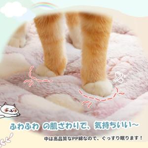 PAWZ Road 猫ベッド ペットベッド マ...の詳細画像3