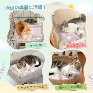 PAWZ Road 猫ベッド ペットベッド マ...の詳細画像5