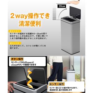 P17 RAKU 全自動センサー開閉式ステンレ...の詳細画像1